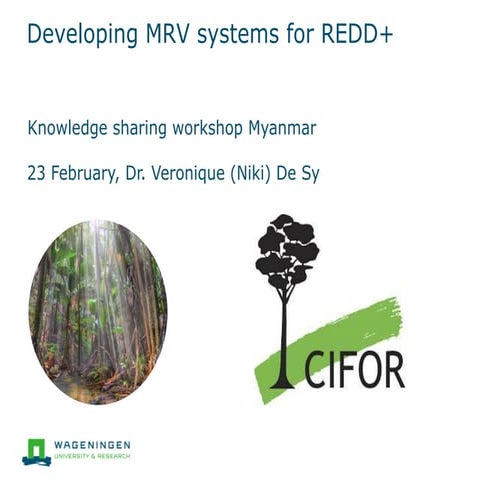 Developing MRV systems for REDD+