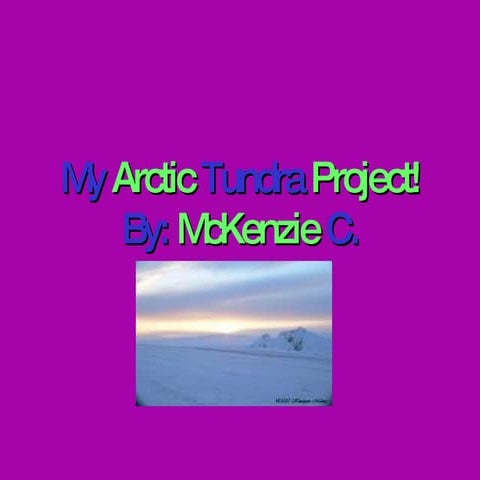 My Arctic Tundra Project!Custer