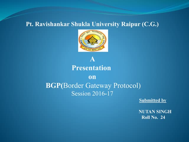 Border Gateway Protocol (BGP)