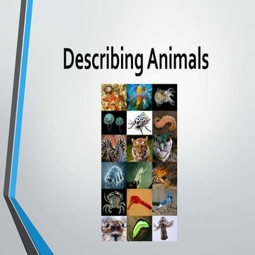 My blog power point describing animals