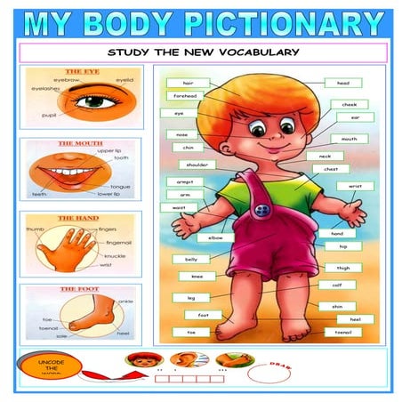 My Body Pictionary SüPer öTesi | DOC