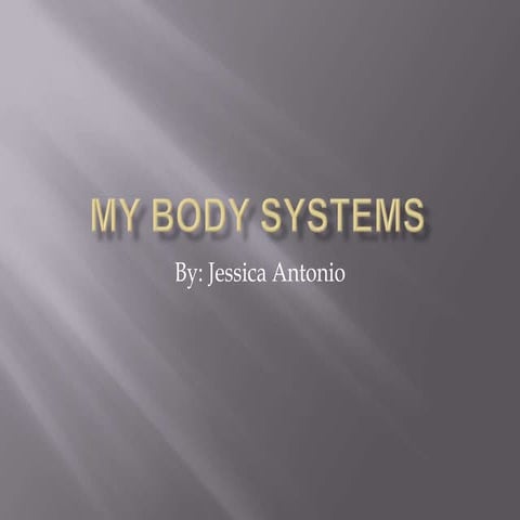 My body systems