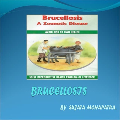 Brucellosis