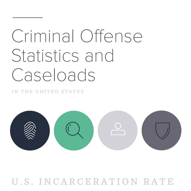 [Infographic] Criminal Offense Statistics and Caseloads in 2015