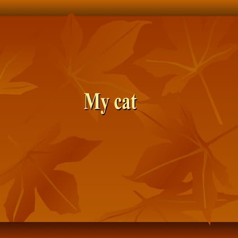 My cat молчанова диана 5б класс гимназия 196 г.санкт петербург учитель крылов...