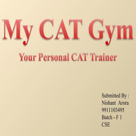 My cat gym