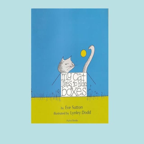 My cat likes to hide in boxes