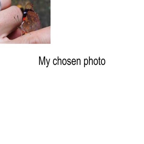 My chosen photo
