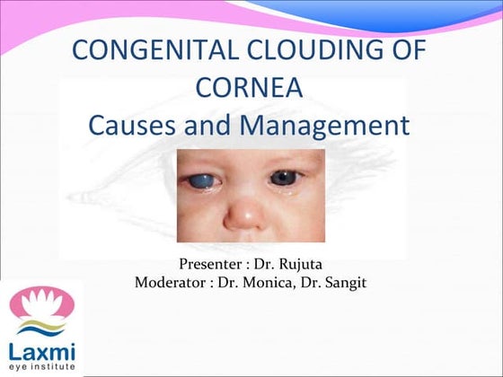 Ocular Cicatricial Pemphigoid | PPT