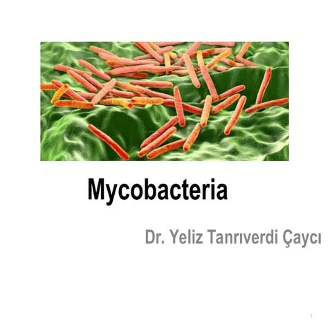 mycobacteria and general properties .ppt
