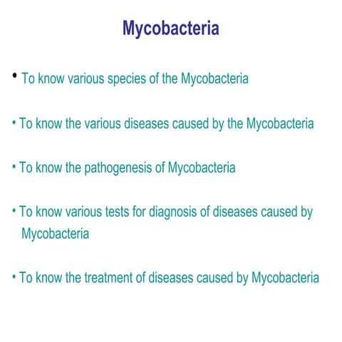Mycobacteria 
