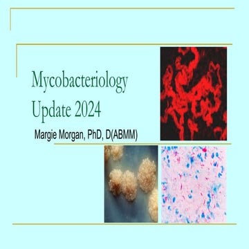 Mycobacteriology update 2024 Margie Morgan.ppt