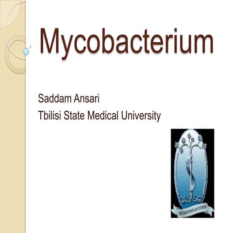 Mycobacterium
