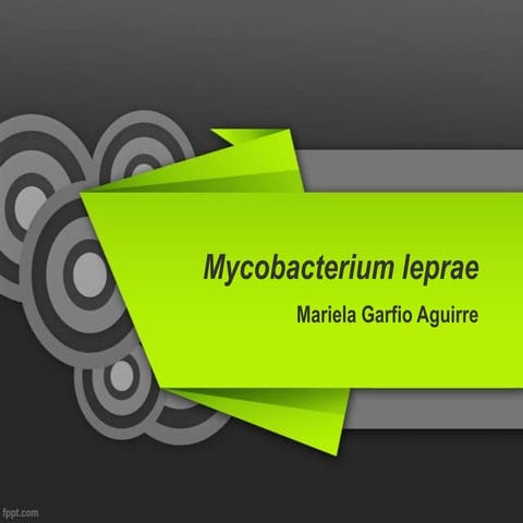 Mycobacterium leprae
