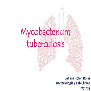Mycobacterium tuberculosis