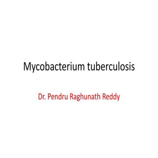 Mycobacterium tuberculosis