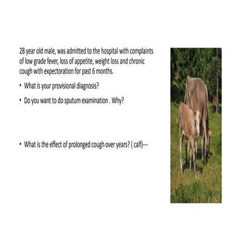 Mycobacterium tuberculosis