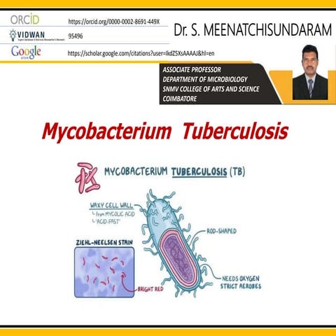 MYCOBACTERIUM TUBERCULOSIS