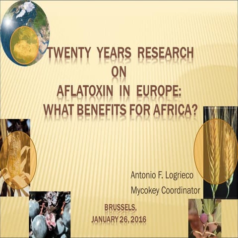Twenty years research on aflatoxin in Europe: what benefits for Africa? 
