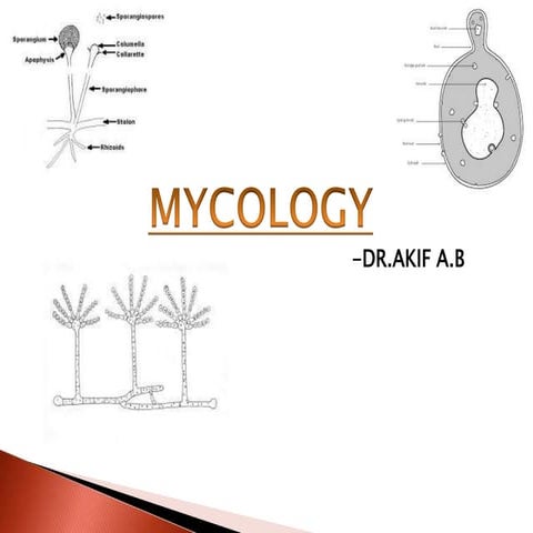 Mycology