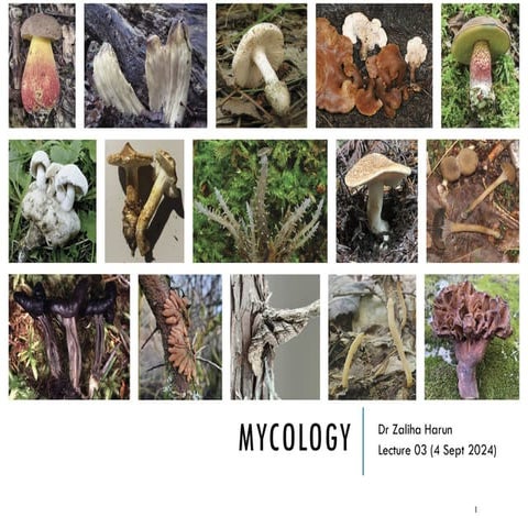 MYCOLOGY- power point presentation .pptx