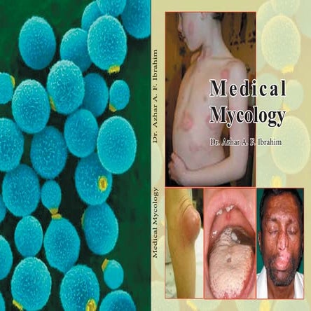 Mycology (2).pdf....by ali....rasool..pdf
