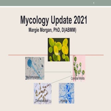 Mycology Update 2021