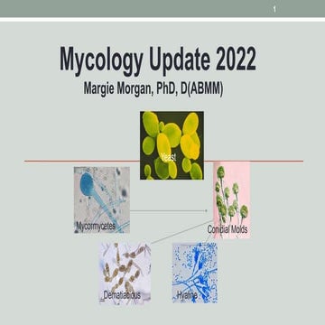 Mycology 2022