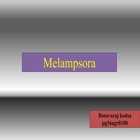 melampsora 