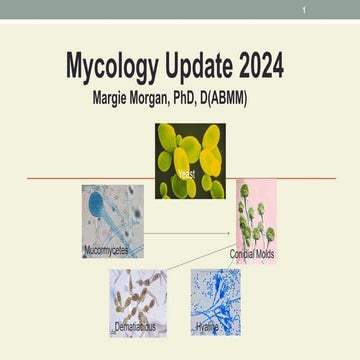 Mycology Update February 2024 Microbes with Morgan