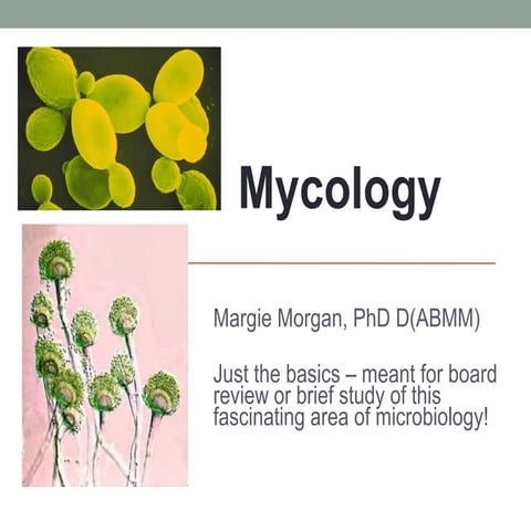 Mycology 2016