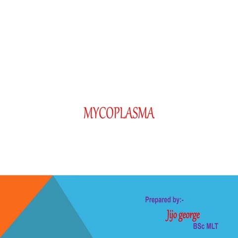 Mycoplasma