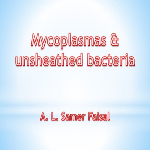 Mycoplasma