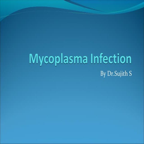 Mycoplasma infection