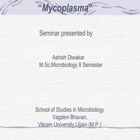 Mycoplasma