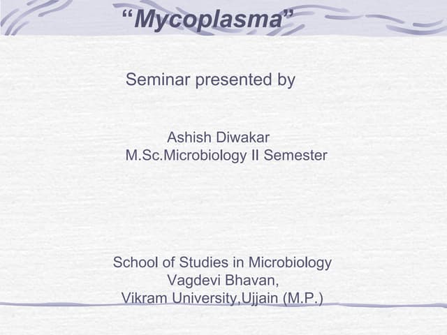 Mycoplasma