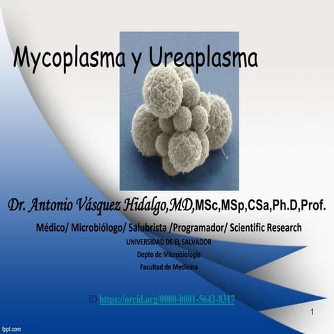 mycoplasma y ureapasma.ppt
