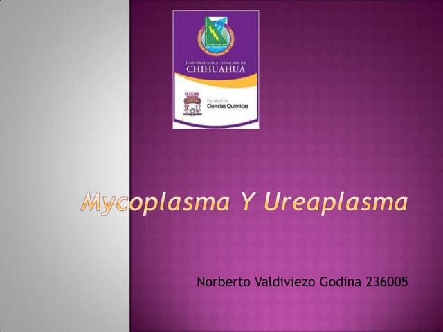 Mycoplasma Ppt 
