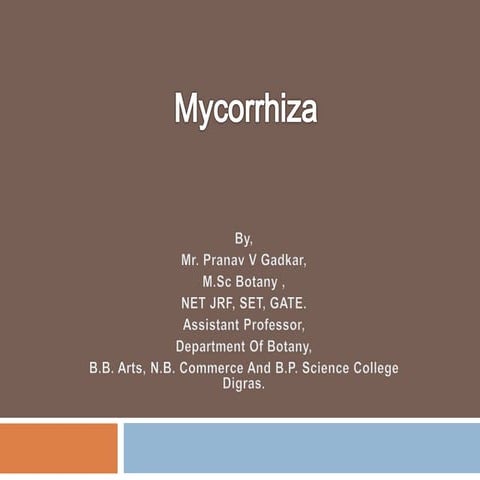 Mycorrhiza and its types