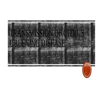 Transmission of citrus greening diseases