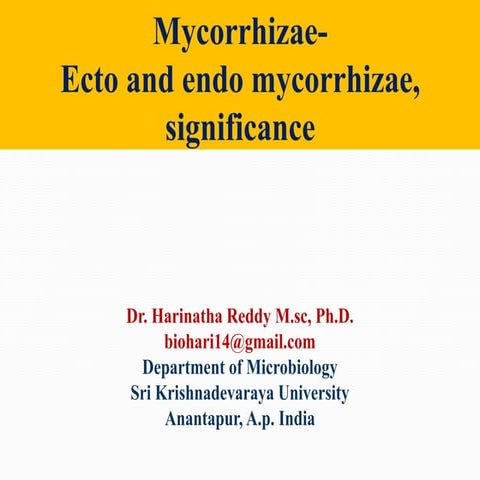 Mycorrhizae ecto and endo mycorrhizae significance