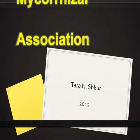 Mycorrhizal  association