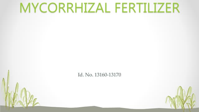 Mycorrhiza Biofertilizer: VAM