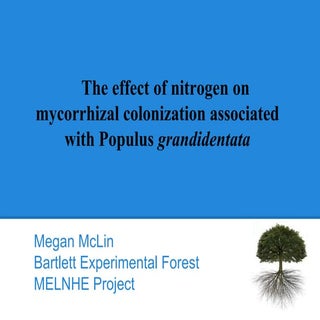 Mycorrhizal presentation, Megan McL...
