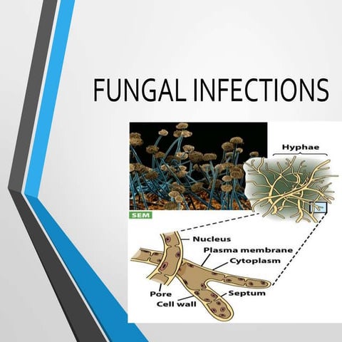 Mycotic Infections.ppt