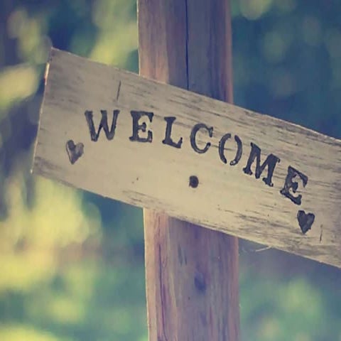 Mycotoxin effect on seed quality 