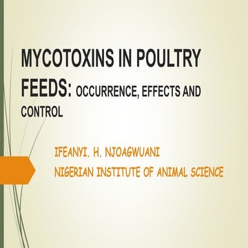 Mycotoxin in poultry feeds ppt