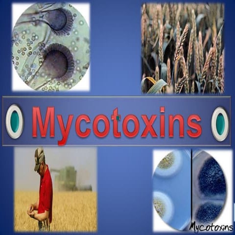 Mycotoxins