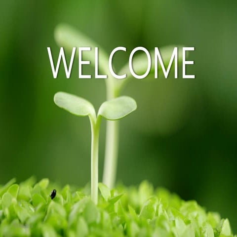 Mycoviruses of filamentous fungi and their relevance to plant pathology