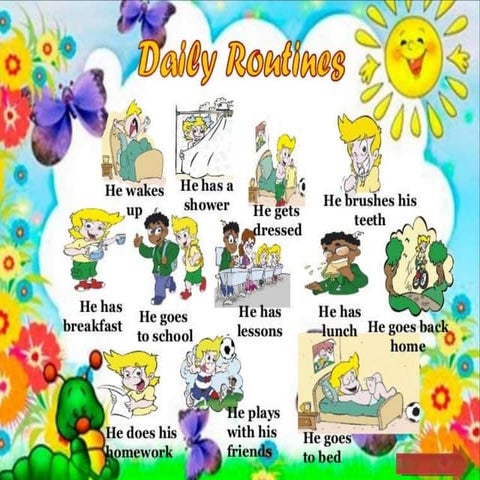 My daily routine | PPTX